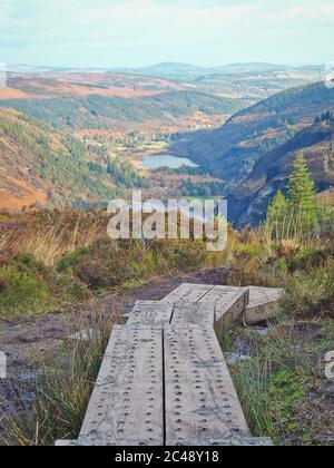 Chemin en bois dans le parc national des montagnes de Wicklow en Irlande Banque D'Images