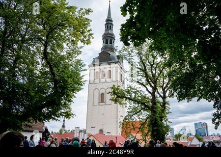 Tallinn, Estonie. Matin Vue sur la cathédrale Alexandre Nevsky. Célèbre Cathédrale Orthodoxe est le plus grand et le plus grandiose de Tallinn Coupole Cathédrale Orthodoxe. Banque D'Images