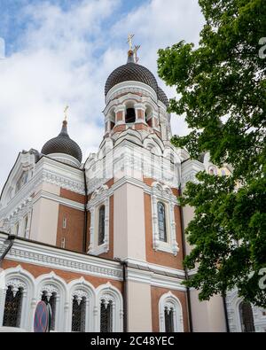 Tallinn, Estonie. Matin Vue sur la cathédrale Alexandre Nevsky. Célèbre Cathédrale Orthodoxe est le plus grand et le plus grandiose de Tallinn Coupole Cathédrale Orthodoxe. Banque D'Images