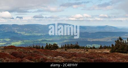 Vue sur la chaîne de montagnes Kralicky Sneznik depuis le sommet de Keprnik dans les montagnes jéeniky au printemps en République tchèque Banque D'Images