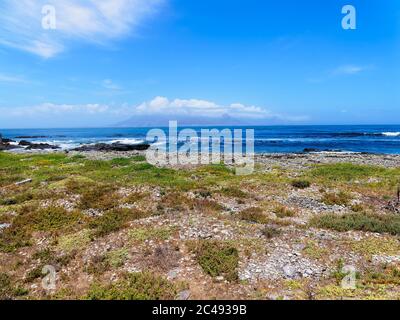 Au-dessus de la plage rocheuse et de la végétation clairsemée de la rive de l'île Robben, en traversant Table Bay, jusqu'à un cap du Cap couvert de nuages Banque D'Images