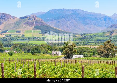 Une journée hazante dans la région viticole d'Afrique du Sud près de Franschhoek Banque D'Images