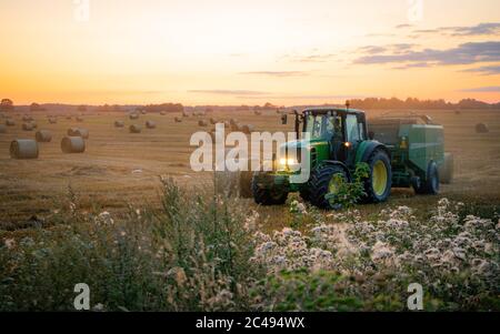 Récolte de blé en été. Tracteur vert travaillant dans le domaine Europian. La moissonneuse-batteuse agricole récolte du blé mûr doré sur le Banque D'Images