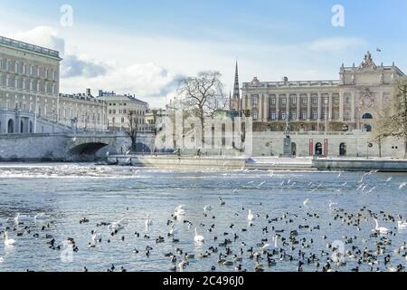 Vue sur le Parlement suédois et le centre de Stockholm avec beaucoup d'oiseaux qui nagent sur le canal Banque D'Images