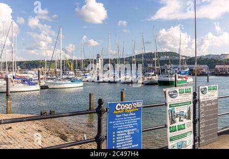 Une scène de bord de mer d'un port. Des panneaux publicitaires pour les croisières et les fournitures de pêche sont en face d'un port avec des yachts et un phare. Banque D'Images