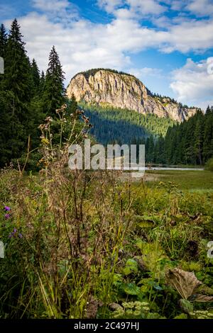 Le lac Red (également connu sous le nom de lac Ghilcoş) est un lac naturel à barrage dans le comté de Harghita, en Roumanie Banque D'Images