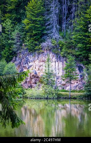 Le lac Red (également connu sous le nom de lac Ghilcoş) est un lac naturel à barrage dans le comté de Harghita, en Roumanie Banque D'Images