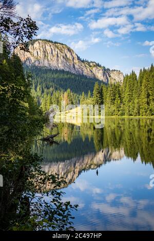 Le lac Red (également connu sous le nom de lac Ghilcoş) est un lac naturel à barrage dans le comté de Harghita, en Roumanie Banque D'Images