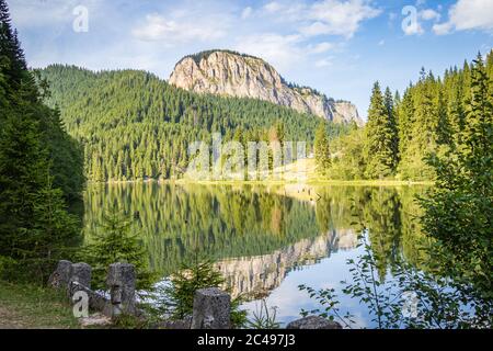 Le lac Red (également connu sous le nom de lac Ghilcoş) est un lac naturel à barrage dans le comté de Harghita, en Roumanie Banque D'Images