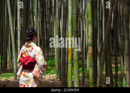 Femme portant un vêtement kimono traditionnel japonais et debout dans un forêt de bambou Banque D'Images