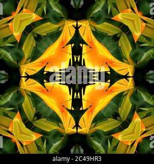 Motif symétrique sans couture, motif abstrait, feuilles de banane Banque D'Images