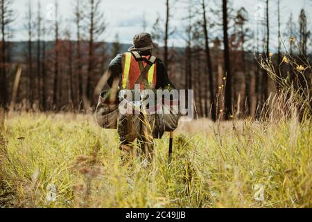 Vue arrière d'un semoir d'arbre marchant dans l'herbe sèche avec des sacs pleins de semis de pin pour le reboisement. Homme travaillant dans la forêt pour le développement durable Banque D'Images