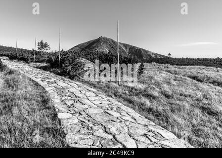 Montagne Snezka et route pavée dans les montagnes géantes, parc national de Krkonose, République tchèque. Image en noir et blanc. Banque D'Images