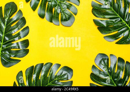 Magnifique fond floral de feuilles d'arbre tropical monstera et palmier, avec un espace pour le texte, plat composition de la pose été, exotique, Voyage, paradis Banque D'Images