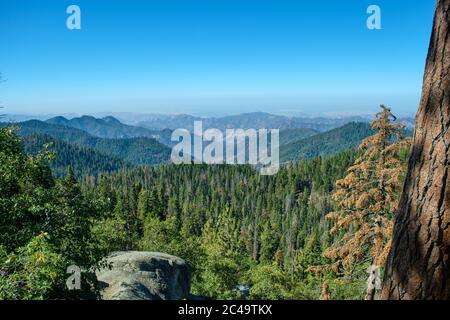 Parc national Sequoia en Californie, États-Unis. Banque D'Images