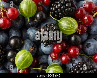 Mélanger les baies et les fruits. Mûres de mûre, bleuets, cassis, cassis et groseilles à maquereau. Vue de dessus. Baies et fruits de fond. Divers Banque D'Images