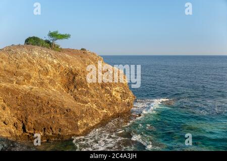 Un pin italien unique (pin de parasol, pin de parapluie, ou connu officiellement sous le nom de Pinus Pinea) sur une falaise rocheuse avec fond bleu ciel clair et vagues. Banque D'Images