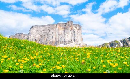 Lastoni de Formin, alias Ponta Lastoi de Formin. Bloc de montagne géant avec prairie en fleurs et ciel d'été, Dolomites, Italie. Banque D'Images