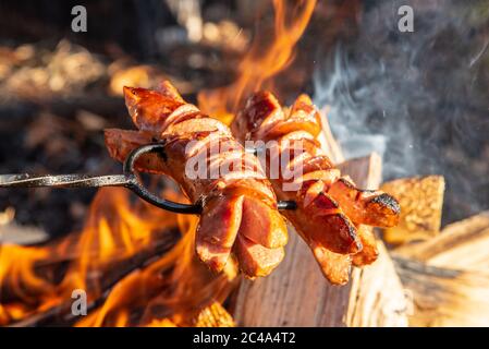 Saucisses grillées sur un bâton au-dessus du feu de camp ouvert. Préparation des aliments à l'extérieur. Banque D'Images