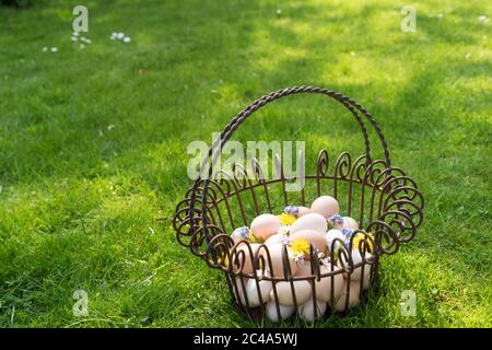 Panier avec des œufs sur l'herbe à trouver le matin de pâques
