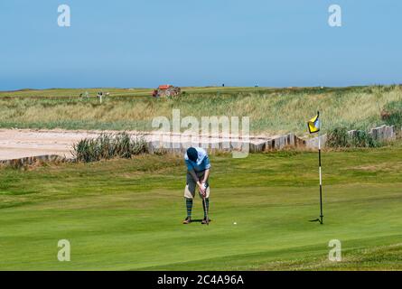 Aberlady, East Lothian, Écosse, Royaume-Uni, 25 juin 2020. Météo au Royaume-Uni : soleil chaud sur le parcours de golf de Craigielaw avec un homme habillé en plus de quatre sur un green Banque D'Images