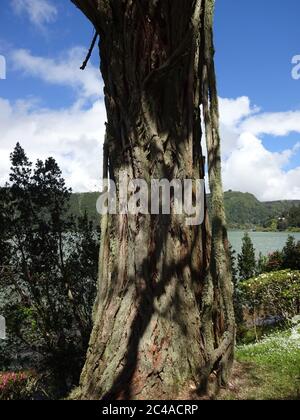 Le lac de Furnash est un joyau des Açores. Belle nature, eau merveilleuse, île merveilleuse de San Miguel Banque D'Images