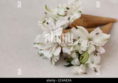 Fleurs blanches dans les scones de crème glacée sur le plan d'examen gris clair. Espace négatif. Banque D'Images