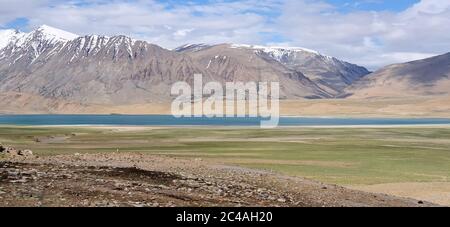 Vue sur le lac TSO Moriri, Leh District, Inde. Banque D'Images