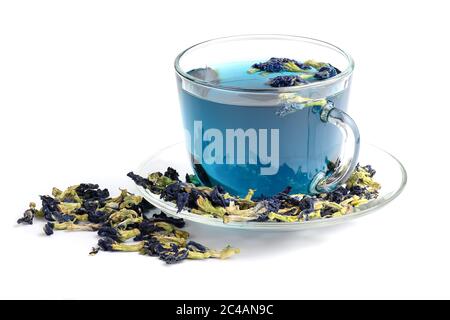 Papillon pois fleur bleu thé dans verre tasse isolé sur fond blanc. Boisson saine à base de plantes détoxiques. Banque D'Images