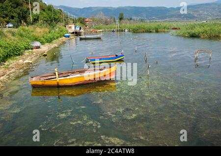 Vieux bateaux à poissons en bois colorés sur la rive du lac avec roseau, lac Dojran, Macédoine Banque D'Images