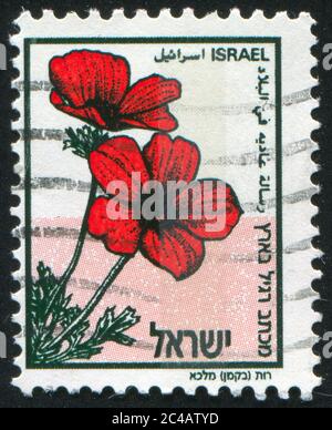 ISRAËL - VERS 1992: Timbre imprimé par Israël, montre Anemone, vers 1992 Banque D'Images