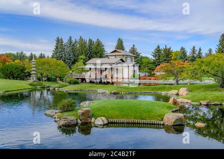 Étang, jardin japonais Nikka Yuko, Lethbridge, Alberta, Canada Banque D'Images