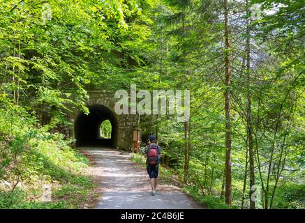 Sentier de randonnée Koppental d'Obertraun à Bad Aussee, rivière Koppentraun, tunnel ferroviaire de l'ancienne route, Salzkammergut, haute-Autriche, Autriche Banque D'Images