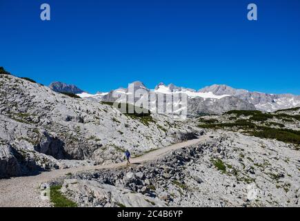 Randonneurs sur le sentier de randonnée circulaire Heilbronn, derrière lui Hoher Dachstein, Karst, Krippenstein, massif de Dachstein, Salzkammergut, haute-Aus Banque D'Images