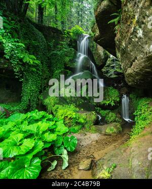 Chute d'eau de Lichtenhain dans la vallée de Kirnitzsch, montagnes de grès d'Elbe, Parc national de la Suisse saxonne, près de Bad Schandau, Saxe, Allemagne Banque D'Images