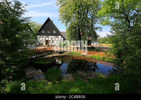 Emscherquelle, la source de l'Emscher à Emscherquelhof, Holzwickede, région de la Ruhr, Rhénanie-du-Nord-Westphalie, Allemagne Banque D'Images