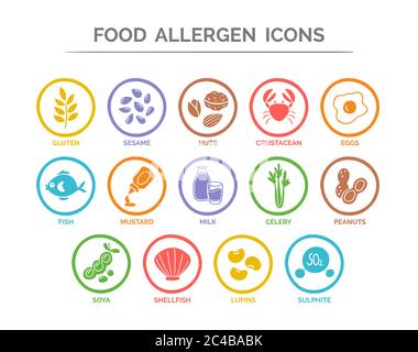 Jeu d'icônes d'allergie de sécurité alimentaire. 14 ingrédients alimentaires qui doivent être déclarés allergènes dans l'UE. Vecteur EPS 10. Utile pour les restaurants et les repas. Illustration de Vecteur