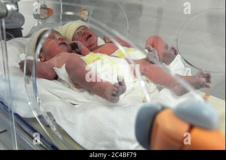 Rapport à l'hôpital de maternité d'Abbeville, département de la somme. Naissance de jumeaux par césarienne. Les jumeaux placés dans l'incubateur sont pris Banque D'Images