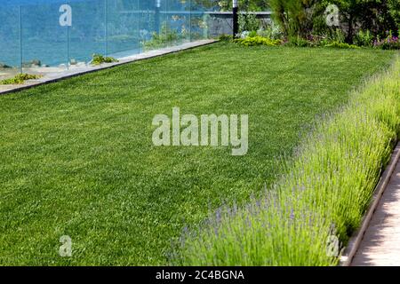 verrière à l'herbe et à la lavande fleuris avec une clôture en verre de la mer. Banque D'Images