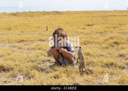 Garçon de 5 ans regardant Meerkats, désert de Kalahari, casseroles de sel de Makgadikgadi, Botswana Banque D'Images