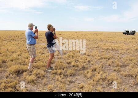 Famille regardant Meerkats (monoie), désert de Kalahari, Makgadikgadi Salt pans, Botswana Banque D'Images
