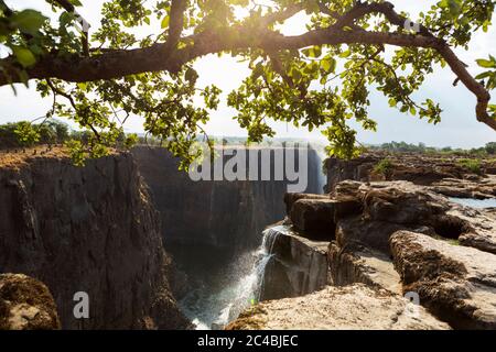 Victoria Falls du côté zambien, vue sur les falaises verticales de la gorge de la rivière, et l'eau coule rapidement. Banque D'Images