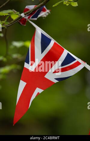 Union Jack pennant de banderoles accrochées à un arbre Banque D'Images