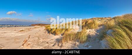 Plage de vent dans l'île de Hiddensee, sur la côte baltique de l'Allemagne du Nord hors de saison, l'image panoramique Banque D'Images