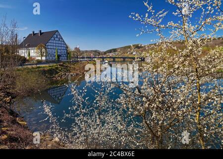 Laek de stockage Listertalsperre et domaine Gut Kalberschnacke au printemps, Allemagne, Rhénanie-du-Nord-Westphalie, pays aigre, Drolshagen Banque D'Images