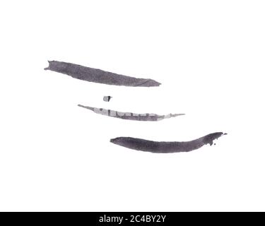 Taches de peinture dans les couleurs noir et gris isolées sur fond blanc. Motif texturé artistique monochrome. Texture aquarelle peinte à la main Banque D'Images