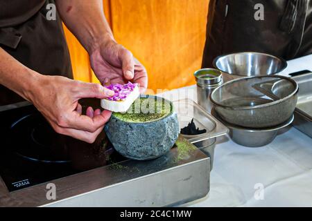 Plat gastronomique par le chef Rodolfo Guzman étoilé au guide Michelin. Festival gastronomique de Rheingau à Hattenheim, Eltville am Rhein, Allemagne Banque D'Images