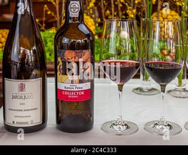 Une bouteille de Pinot Noir Alexander Johannes 2010 du domaine viticole Jakob Jung du Rheingau et une bouteille de Ramos Pinto Collector Reserva Port se tiennent à côté de deux verres de vin rouge sur une table recouverte d’une nappe blanche à l’Hôtel et Restaurant Kronenschlösschen à Hattenheim, Eltville am Rhein, Hesse, Allemagne. Des branches fleuries jaunes et de la mousse se trouvent en arrière-plan. Les deux vins font partie du déjeuner "Fromage & Vin & Porto" du 2 mars 2017 lors du 21e Festival Gourmet & Vin du Rheingau. Alexander Jung présente les vins de son domaine. Ramos Pinto a été fondée en 1880 par Adriano Ramos Pinto Banque D'Images
