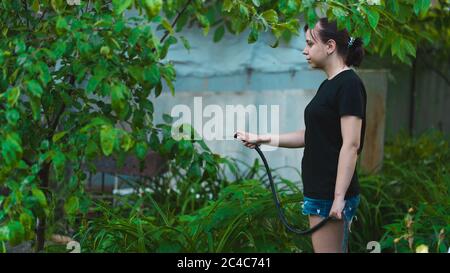 Jeune femme arroser le jardin potager à partir du tuyau. Gros plan sur l'arrosage féminin. Concept d'été et de soin de jardin, produits biologiques et écologique Banque D'Images