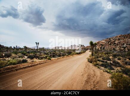 Route de terre à travers le parc national de Joshua Tree Banque D'Images